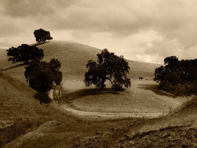 contact screenshot 4