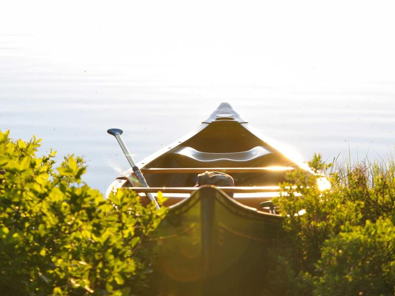 sudoku nature theme screenshot 5